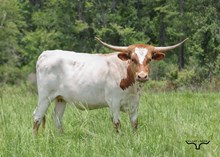 850 Apalachee